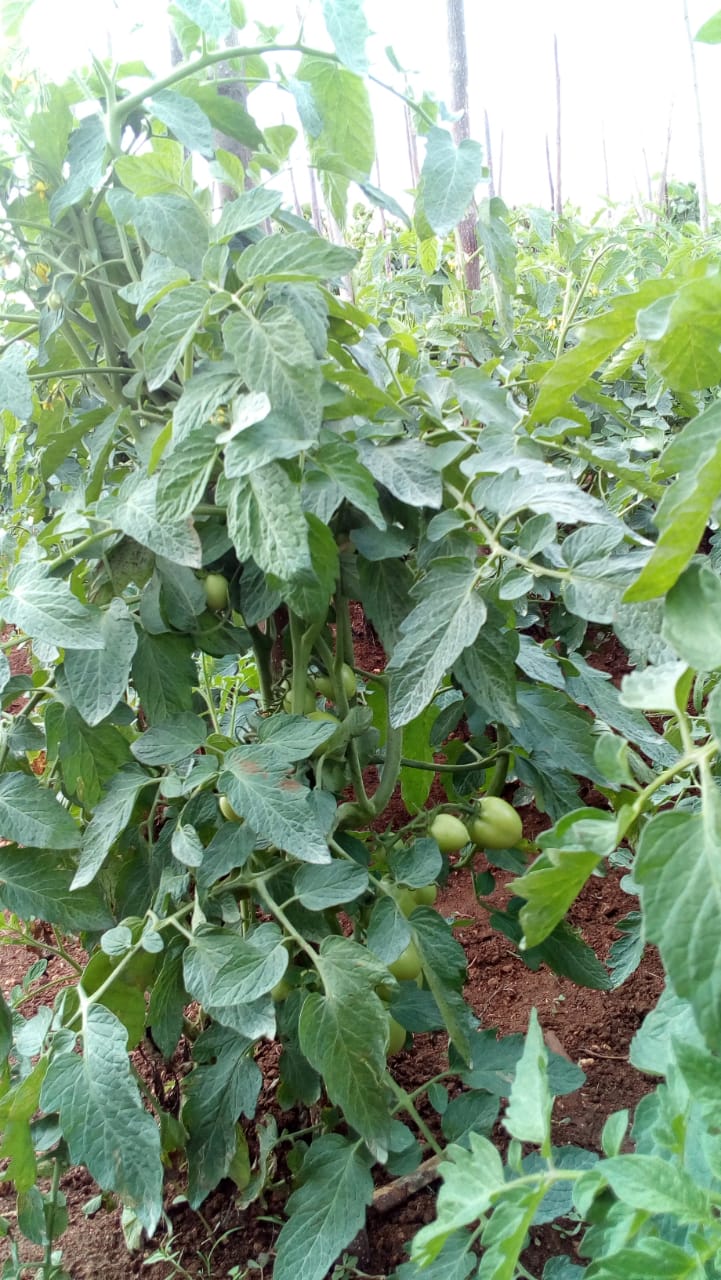 Item 6