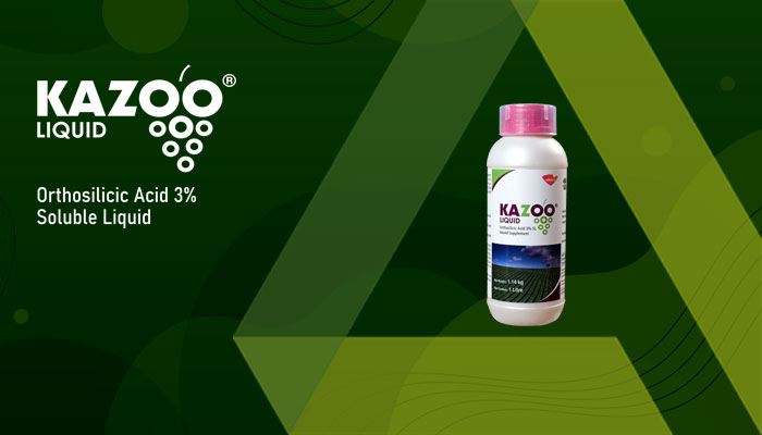 KAZOO LIQUID