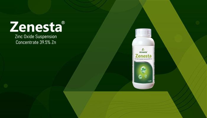 ZENESTA
