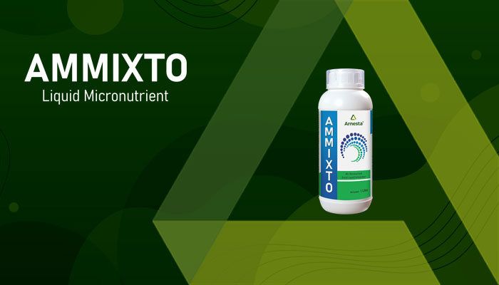 AMMIXTO - LIQUID MICRONUTRIENT