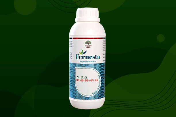 Fernesta